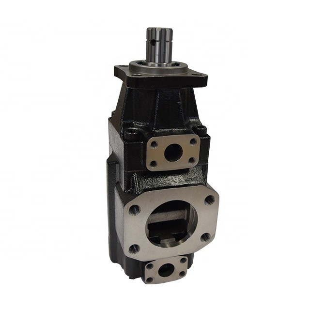 DENISON T6D 028 2R00 B1 vane pump