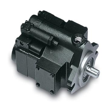 PAKER YB1-25/25 Piston Pump